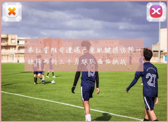 弗拉霍维奇遭遇严重肌腱损伤预计缺阵两到三个月球队面临挑战