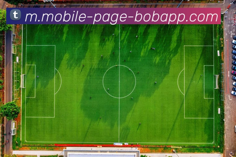 BOB体育品牌故事