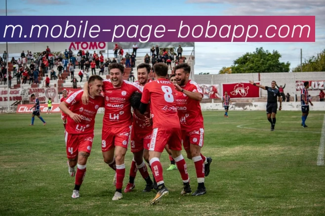 BOB体育服务体系